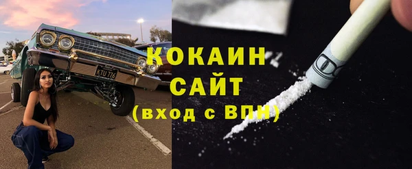 индика Аркадак
