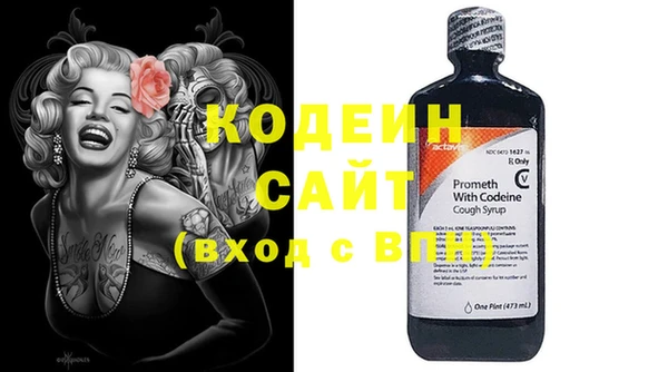 индика Аркадак