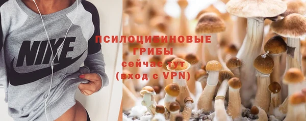 индика Аркадак
