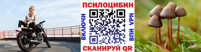 Галлюциногенные грибы прущие грибы  мега как зайти  Черноголовка  купить наркотик 