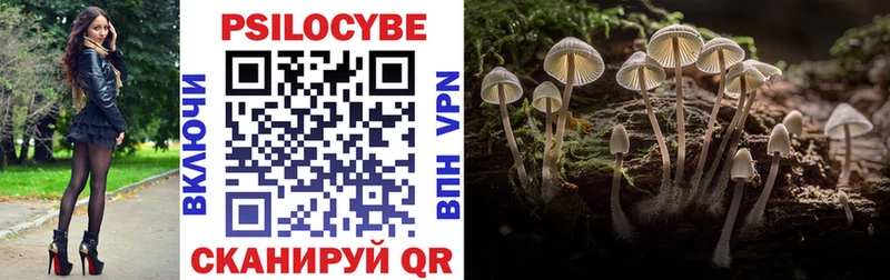 Псилоцибиновые грибы Psilocybe Черноголовка