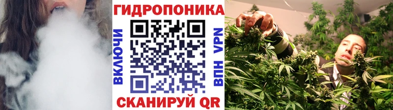 дарк нет формула  Черноголовка  Конопля THC 21% 